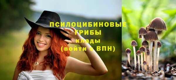 альфа пвп Саяногорск