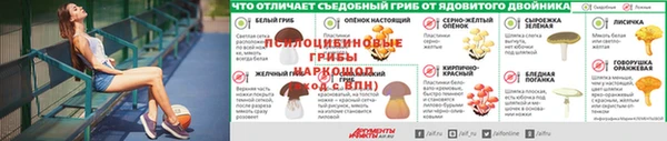 скорость Балахна