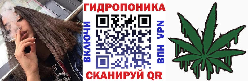 Бошки марихуана VHQ  Калининец 